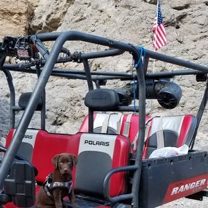 Meet your Posher, Sandra